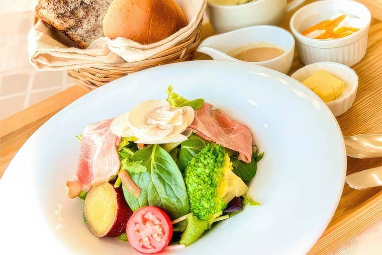 地元野菜のサラダと日替わりパン